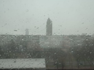 Снажно олујно невреме у Београду, ветар обарао стабла, РХМЗ: Сутра хладно и кишовито