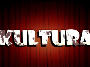 Дневни магазин културе