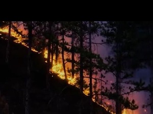 Пожар код Краљева се проширио, мештани без струје и телефонског сигнала