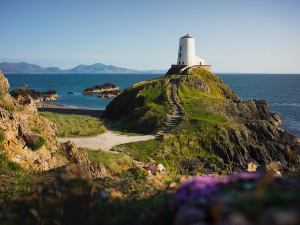 Музика света – Велшки фолк