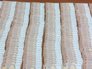 Вршка Чука, покушао међу гардеробом да сакрије 50.000 евра