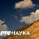 Професионалци:	 Горан Томашевић, фотограф Ројтерса