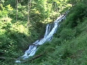 На Радану расте дивља шаргарепа и још 1200 биљака