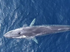 Клима да нам штима