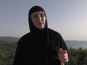 Медијска мрежа српске дијаспоре: Повратна карта