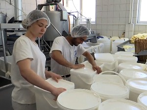 Пирот: "Европска изврсност у млекарству"