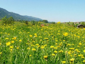 Да ли се може побећи од завичаја?