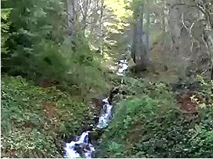 Може ли Шумадија да се залива са Авале