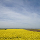  Фолдер Србија: Палата Рајхл 