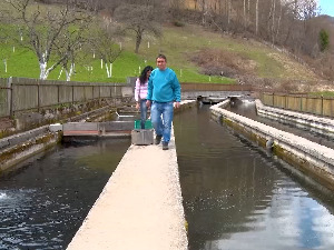 Извозни адут, како до више рибњака у Србији