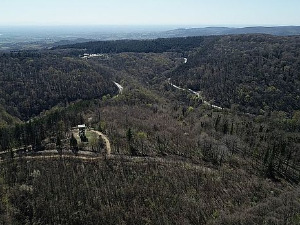 Моја лепа Србија: Фрушка гора - скривене лепоте