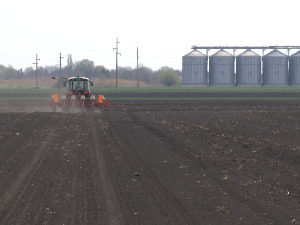 Да ли ће субвенције подстаћи ратаре да осигурају усеве
