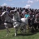 Одржана Фијакеријада у Црепаји, прва смотра коња у сезони