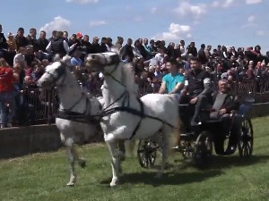 Одржана Фијакеријада у Црепаји, прва смотра коња у сезони