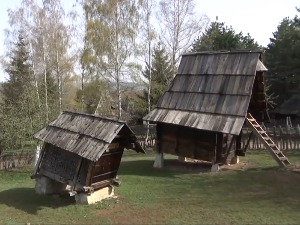 Златиборе мој зелени боре