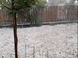 Олујно невреме у Тополи, град уништио засаде воћа