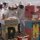 Градске медоносне баште су спас и за пчеле и за људе