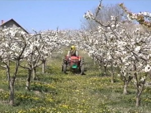 Нестручна употреба пестицида опасна по здравље људи и животиња, када почиње обука