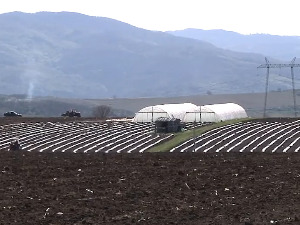 Упркос доброј заради, рана производња воћа и поврћа одбија произвођаче у Топличком крају