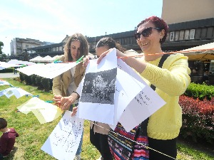 УНС и ДНВ: Обуставити прекршајне поступке против новинара