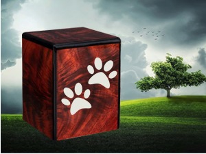 Незаконито је сахранити кућног љубимца у парку или дворишту – које су онда опције