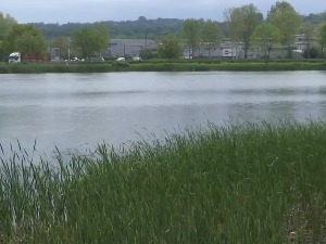 Језеро Бубањ, бистро око Крагујевца