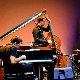Нишвил 2016 : Remi Panossian trio