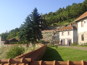 Светиње на Косову и Метохоји: Соколица