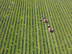 Мокрин прво дигитално село у Србији