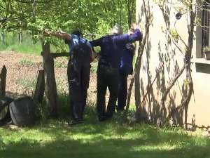 Муке малобројних житеља подраданског краја због змија