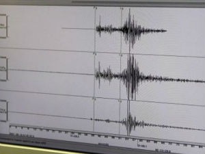 Земљотрес у региону Делиграда