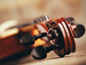 Представљамо Аустралијски камерни оркестар