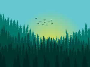  Добро јутро децо: Прича о Свепоправилићу 