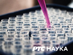 Нови српски умови:	 Резистенција на антибиотике