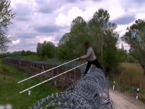 Mađarska, protekle nedelje 5.000 migranata zatečeno u ilegalnom prelasku granice
