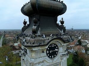 Моја лепа Србија: Кикинда - град добрих људи