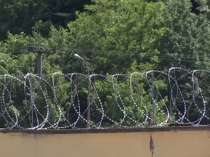 Мисли на слободи, живот иза браве, кредо штићеничког стваралаштва