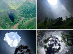 У Кини откривена „чудесна шума"