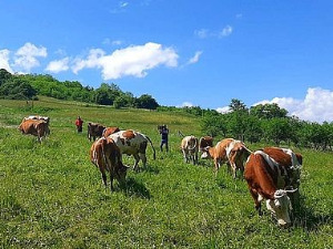 Знање имање: Нови људи за ново село