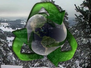 Еко перспективе: Бука