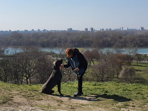 Србија на вези: Др Зорица Сарах Митић