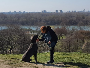 Србија на вези: Др Зорица Сарах Митић