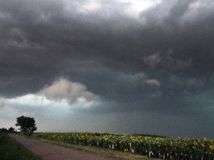 Јако невреме погодило Зрењанин