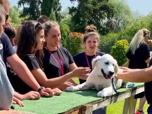 Шта је донела стручна пракса у Грчкој ученицима шабачке Пољопривредне школе?