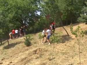 Ваљевски ђаци засадили више од стотину стабала у дворишту школе