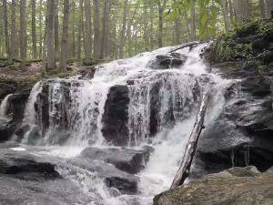 Девет милиона људи годишње умре због загађења