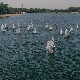 Одржана Меморијална једриличарска регата "Зоран Радосављевић“