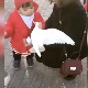 Црвена линија