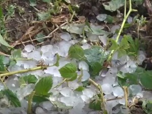 Градоносни облаци погодили Ариље и Трстеник