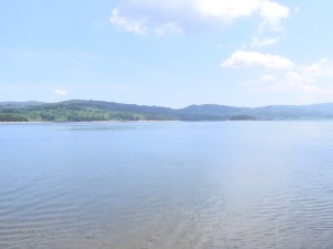 Камп Власина, лепота флоре и фауне уз стихове о природи